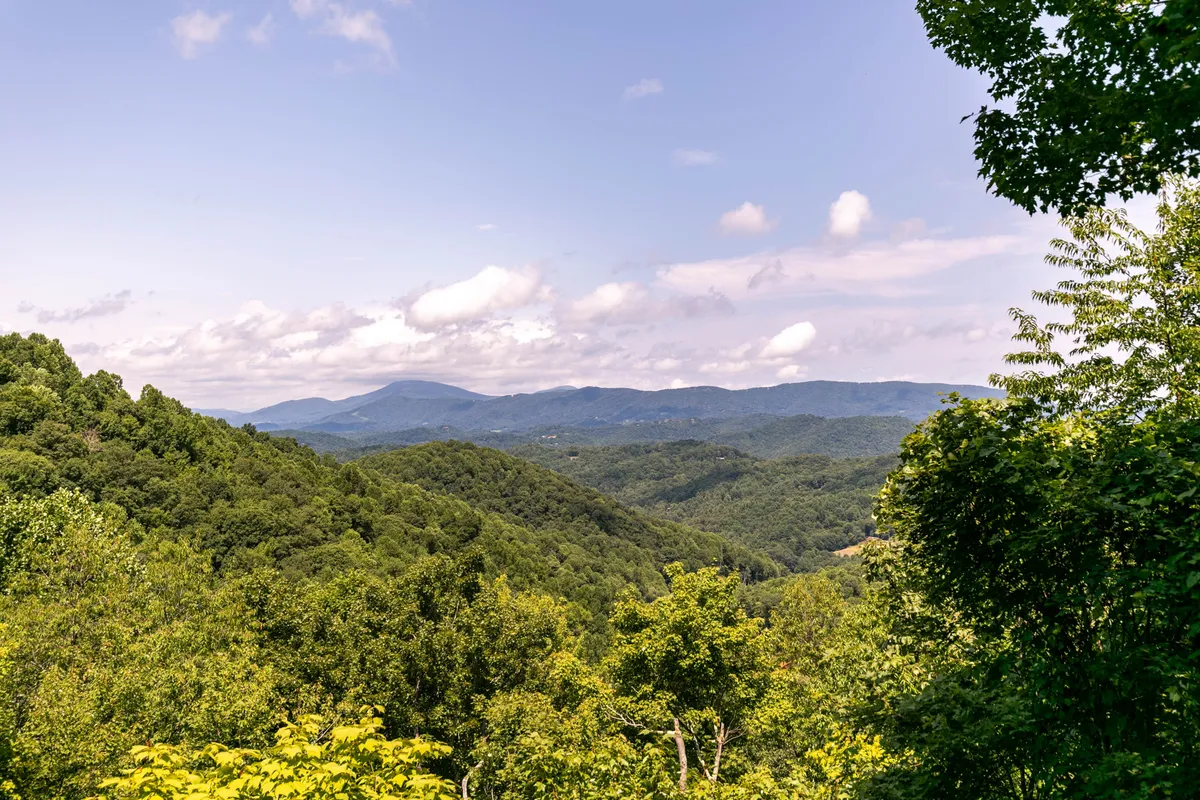 A sweeping view of a lush mountain range under a clear blue sky, with verdant greenery in the foreground. The expansive landscape draws the eye toward distant peaks and open skies, evoking a sense of endless exploration and connection with nature.